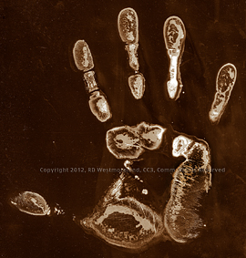 Litho Hand Print